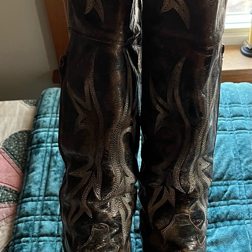 Dan Post boots.